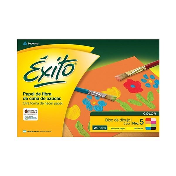 BLOCK EXITO N5 DIBUJO COLOR X20HJ