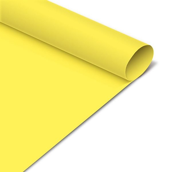 CARTULINA COLOR